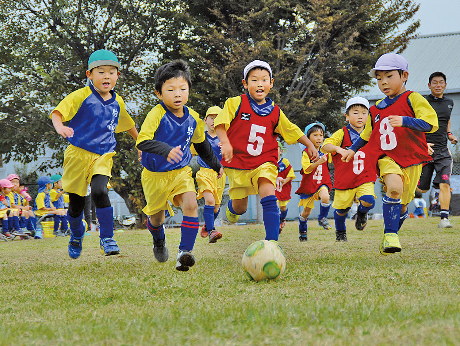 石森体育指導研究会ちびっ子スポーツクラブではサッカーを通して園児の体の成長をお手伝いしています